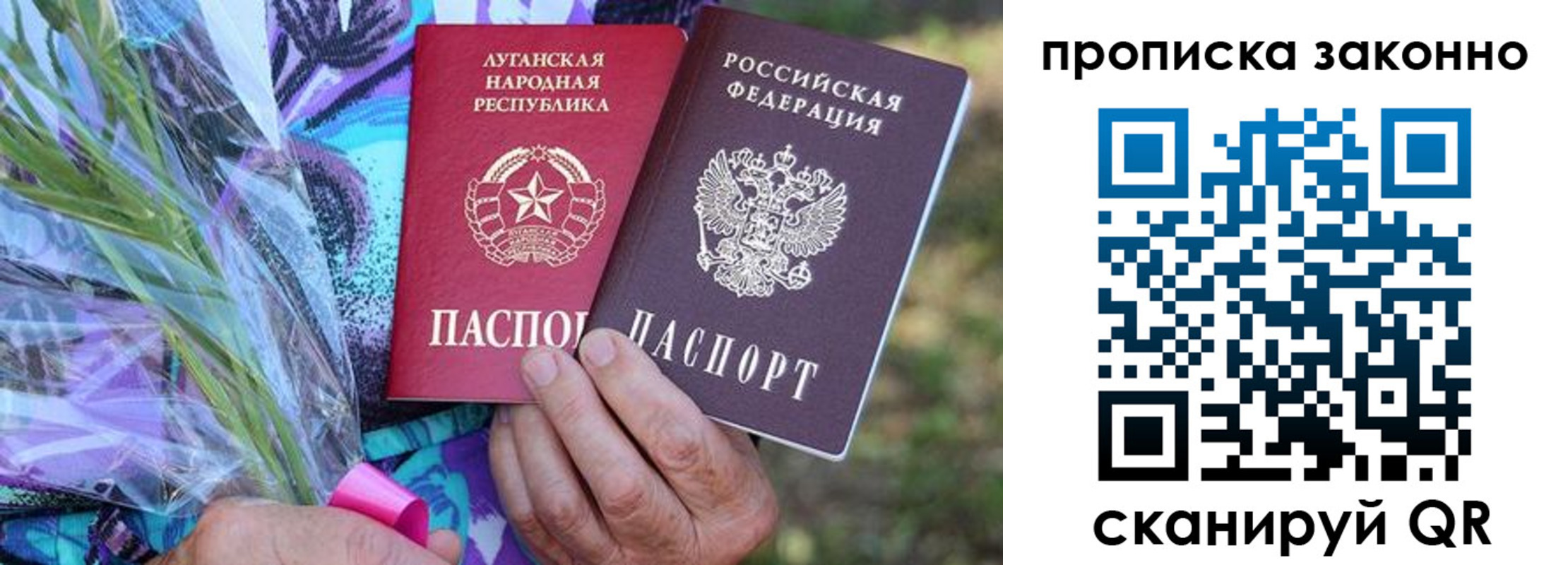 прописка для школы в Шумихе